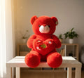 Large Red Love Teddy Bear with Heart Cushion.
